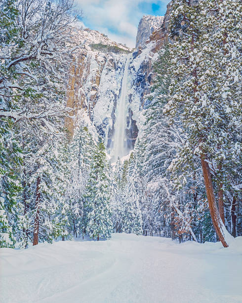 istock Winter snow in Yosemite National Park, CA 621701508
