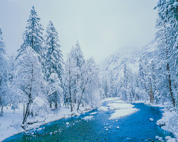 istock Winter Snow in Yosemite N.P. (P) 621701730