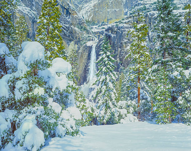 ヨセミテ国立公園の冬の雪 - yosemite national park winter waterfall california ストックフォトと画像