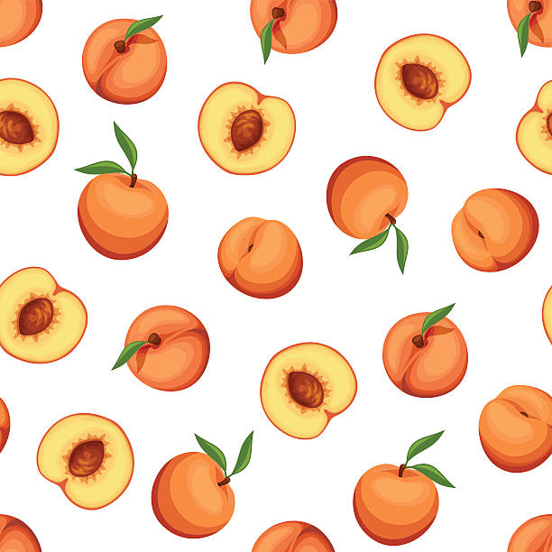 illustrazioni stock, clip art, cartoni animati e icone di tendenza di seamless sfondo con peaches. illustrazione vettoriale. - peach fruit backgrounds textured