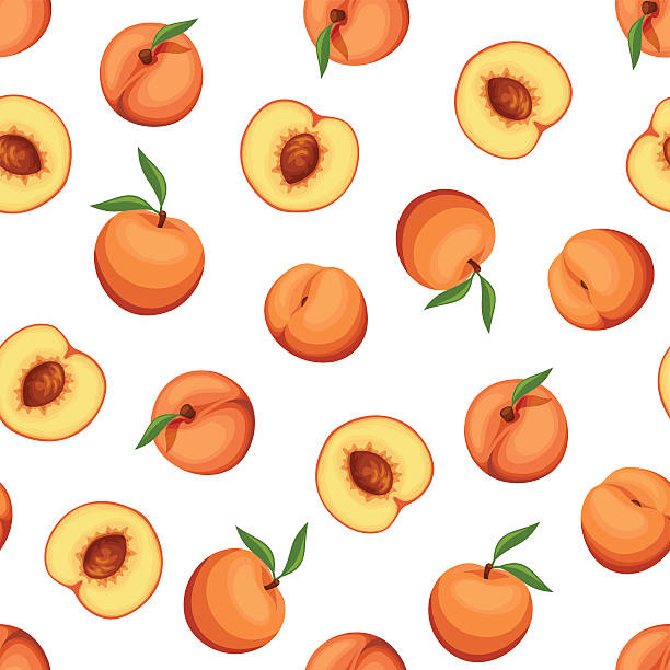 bezszwowe tło z brzoskwiń. ilustracja wektorowa. - peach fruit backgrounds textured stock illustrations