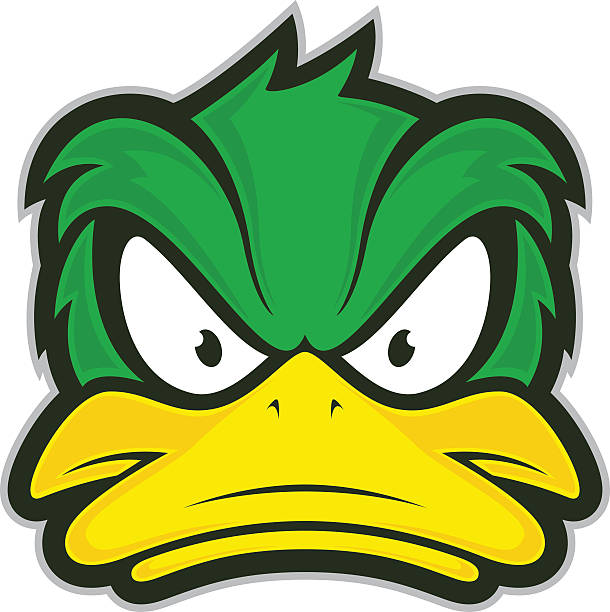 Angry duck mascot Clipart picture of a angry duck cartoon mascot logo character drake male duck illustrations stock illustrations