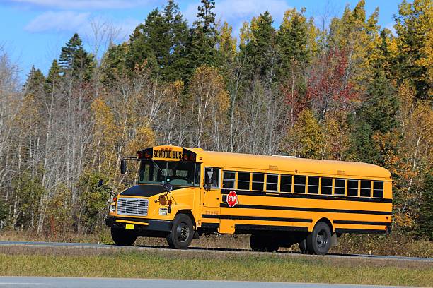 istock School bus on a highway, trees in background. 621706066