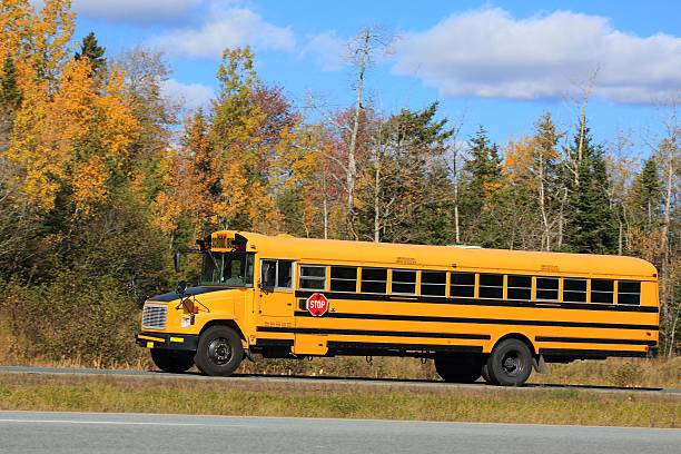 istock School bus on a highway, trees in background. 621706124