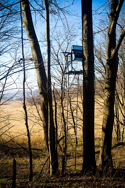 jelenie stoją na pustyni w buffalo county, wisconsin - hunting blind zdjęcia i obrazy z banku zdjęć