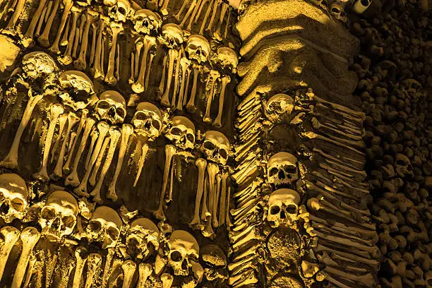 A wall made entirely of human bones inside the "Bones Chapel", one of the main tourist spots in the city of Evora in Portugal.