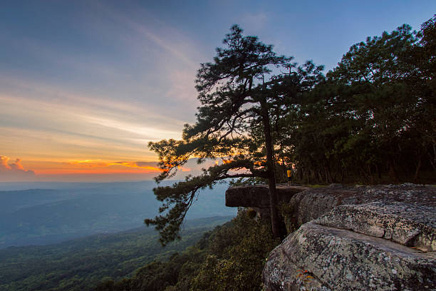 istock Wild twilight time at Phu Kradueng National Park, Thailand 621710290