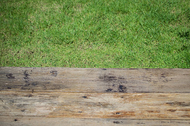 istock Texture of wood background 621710880