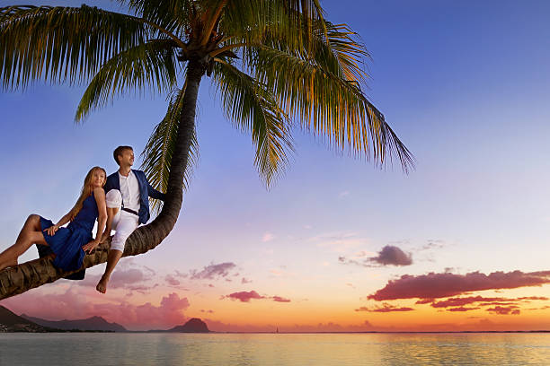 beautiful young couple sitting on palm tree - women hawaii islands beach beauty in nature imagens e fotografias de stock