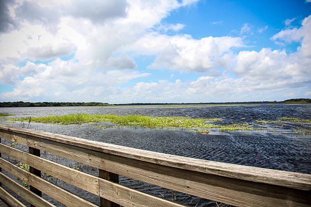 istock Myakka River State Park Florida 621712156
