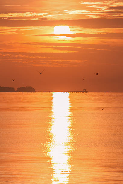Vertical Sunrise With Reflecting Light On Sea Surface Stock Photo