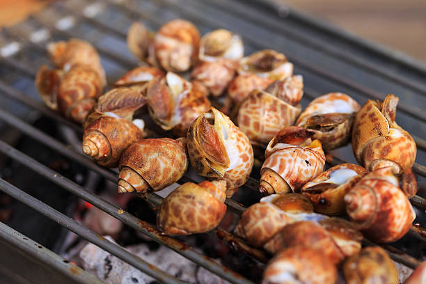 istock Grilled spotted babylon on Charcoal stove 621712660