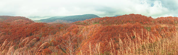 istock Autumn scenery of the Azuma mountain range 621712900