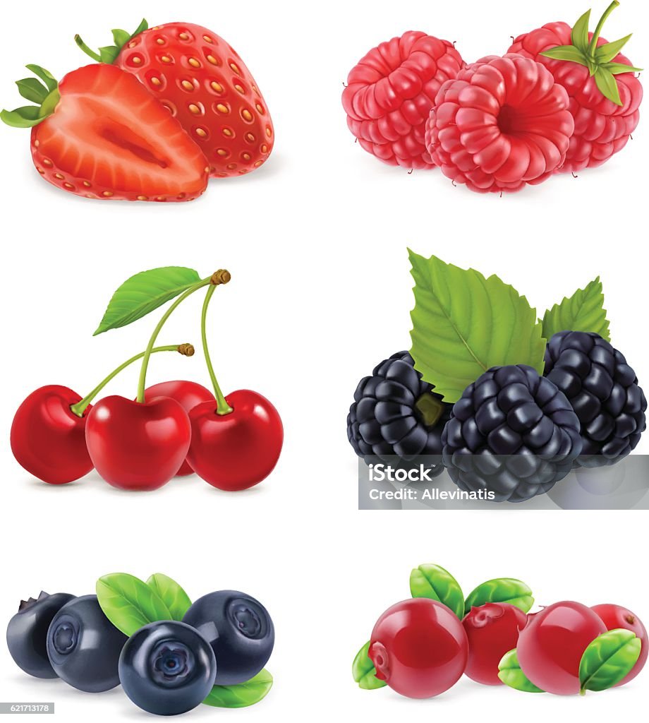 Forest berry. Realistic illustration Forest berry. Sweet fruit. Realistic illustration. 3d vector icon set Raspberry stock vector