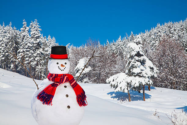 istock Happy Snowman in Christmas Season 621713488