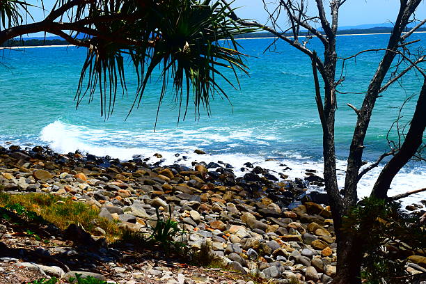 istock NOOSA SEASCAPES 621714374