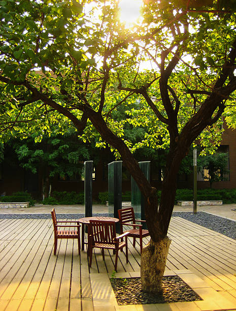 istock early morning of summer 621716066