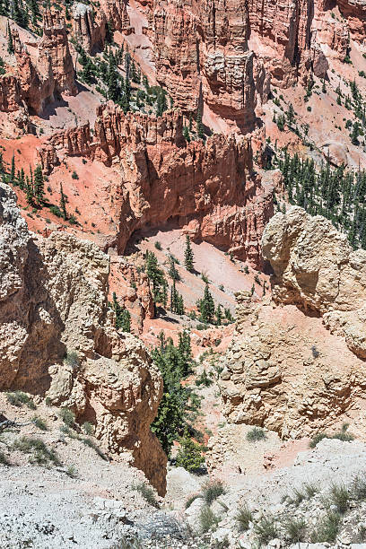 istock Rainbow Point in Bryce Canyon National Park, Utah 621716442