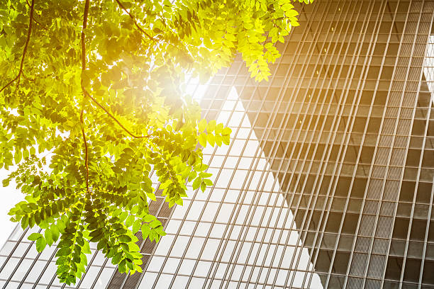 istock modern glass wall with green leaves 621717688