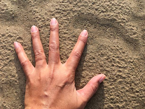 istock Open the palm of the left hand on the sand, touch 621717836