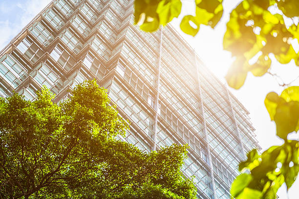 istock modern glass building and green leaves against sunbeam 621718364