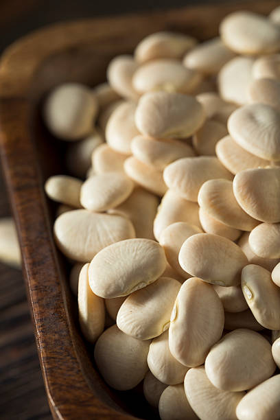 istock Dried White Organic Baby Lime Beans 621719432