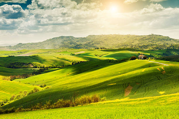 istock Beautiful Tuscany landscape, Italy 621719998