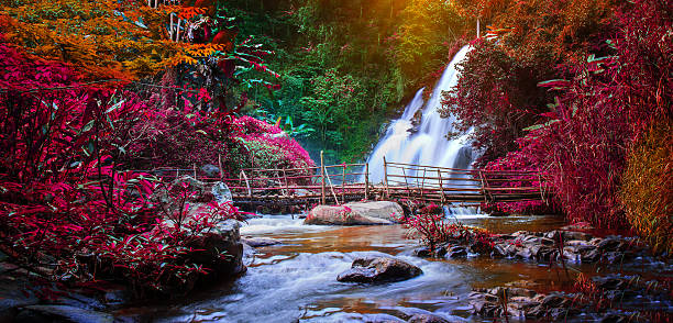 cachoeiras  - autumn falling leaf new england - fotografias e filmes do acervo