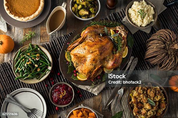 Homemade Thanksgiving Turkey Dinner Stock Photo - Download Image Now - Thanksgiving - Holiday, Turkey - Bird, Turkey Meat