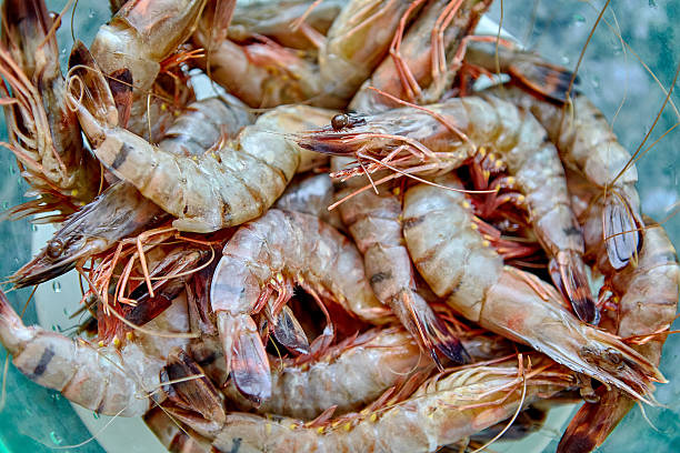 istock Fresh cold raw shrimps close-up, background, top view 621723958