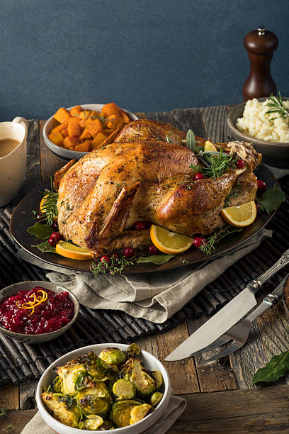 istock Homemade Thanksgiving Turkey Dinner 621725586