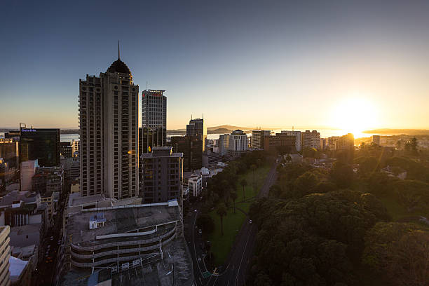 Early Morning in Auckland Near Albert Park From Above The sun rising over Waitemata Harbour, shingng on the tall buildings of Auckland City Centre, seen from high up. albert park stock pictures, royalty-free photos & images