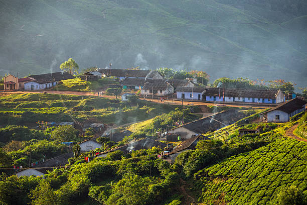 Houses for plantation workers in Munnar tea plantations, Kerala,  India stock photo