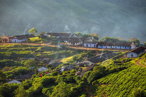 houses for plantation workers in munnar tea plantations, kerala,  india - munnar imagens e fotografias de stock