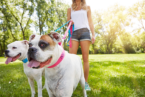 Shot of a young woman with her two dogs at the park