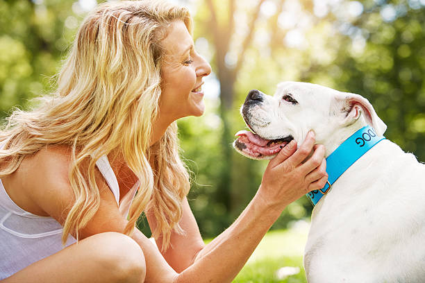 istock Not only man's best friend 621729946