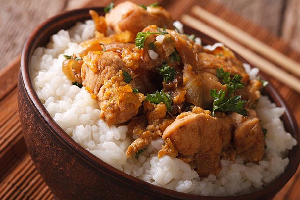 culinária japonesa: oyakodon com arroz em um close-up de tigela - bird yellow child chicken - fotografias e filmes do acervo