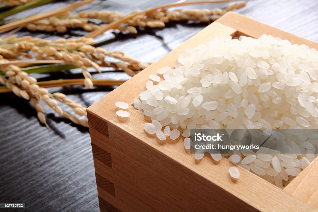 Arroz y Oryza sativa,Japonica - Foto de stock de Arroz - Grano libre de derechos