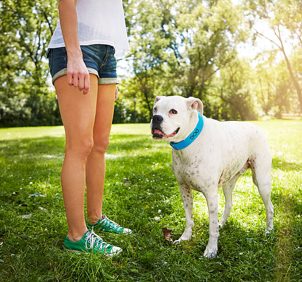 istock I'll just wait until you change that no to yes 621731696