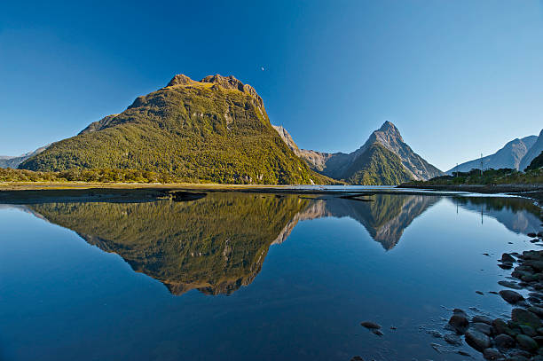 istock New Zealand's South Island 621732068