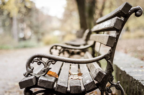 istock Park bench in the autumn. 621733102