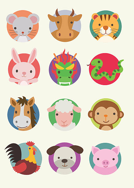 중국 조디악 동물 - 삽화 - 띠 점성술 기호 stock illustrations