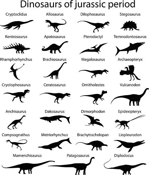 Vector illustration of Dinosaurs of jurassic period