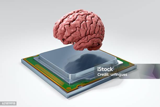 Human Brain With Computer Processor Stock Photo - Download Image Now ...