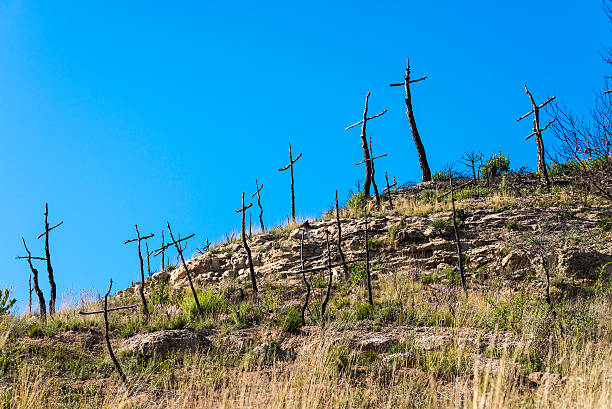 Burnt forest full of crosses made with branches forming a graveyard of trees in Catalonia, Spain