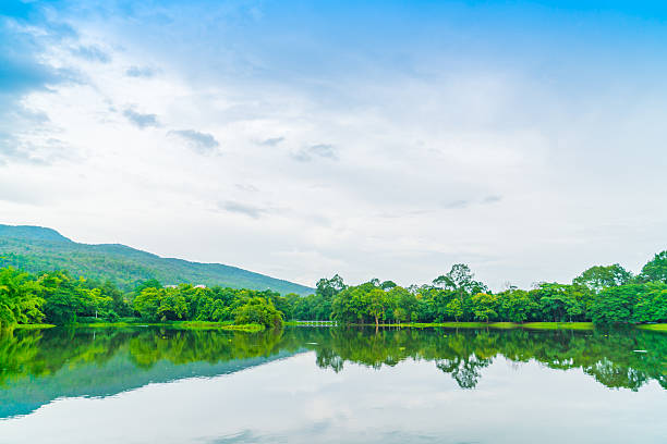istock Beautiful green park with lake 621822536