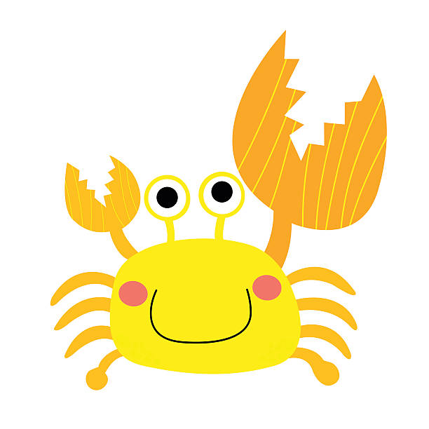 fiddler krabbe tier cartoon charakter vektor-illustration. - decapod stock-grafiken, -clipart, -cartoons und -symbole