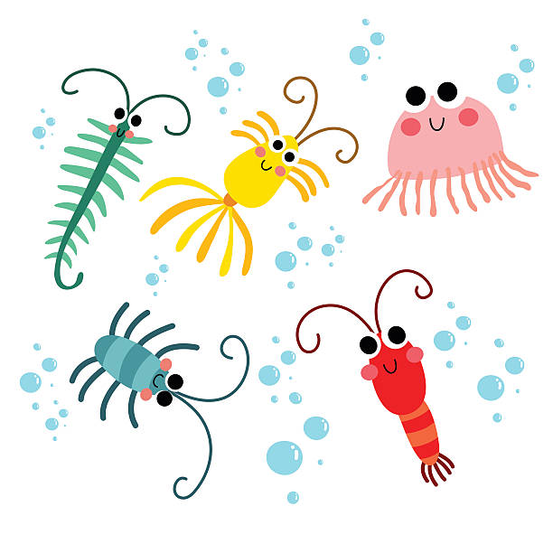 zooplankton zwierząt rysunek charakter ilustracji wektora. - animal animal themes sea below stock illustrations