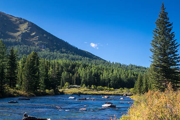 istock River in the Altai mountains 621825276