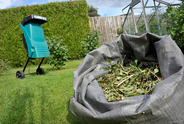 déchiqueteuse - broyeur de branches photos et images de collection